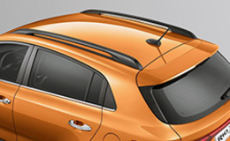 Рейлинги на крыше